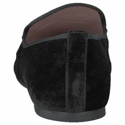 Pretty Ballerinas 9100 Afrodite Do Negro Svart Best