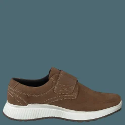 Senator 451-7143 Brown Brun Best