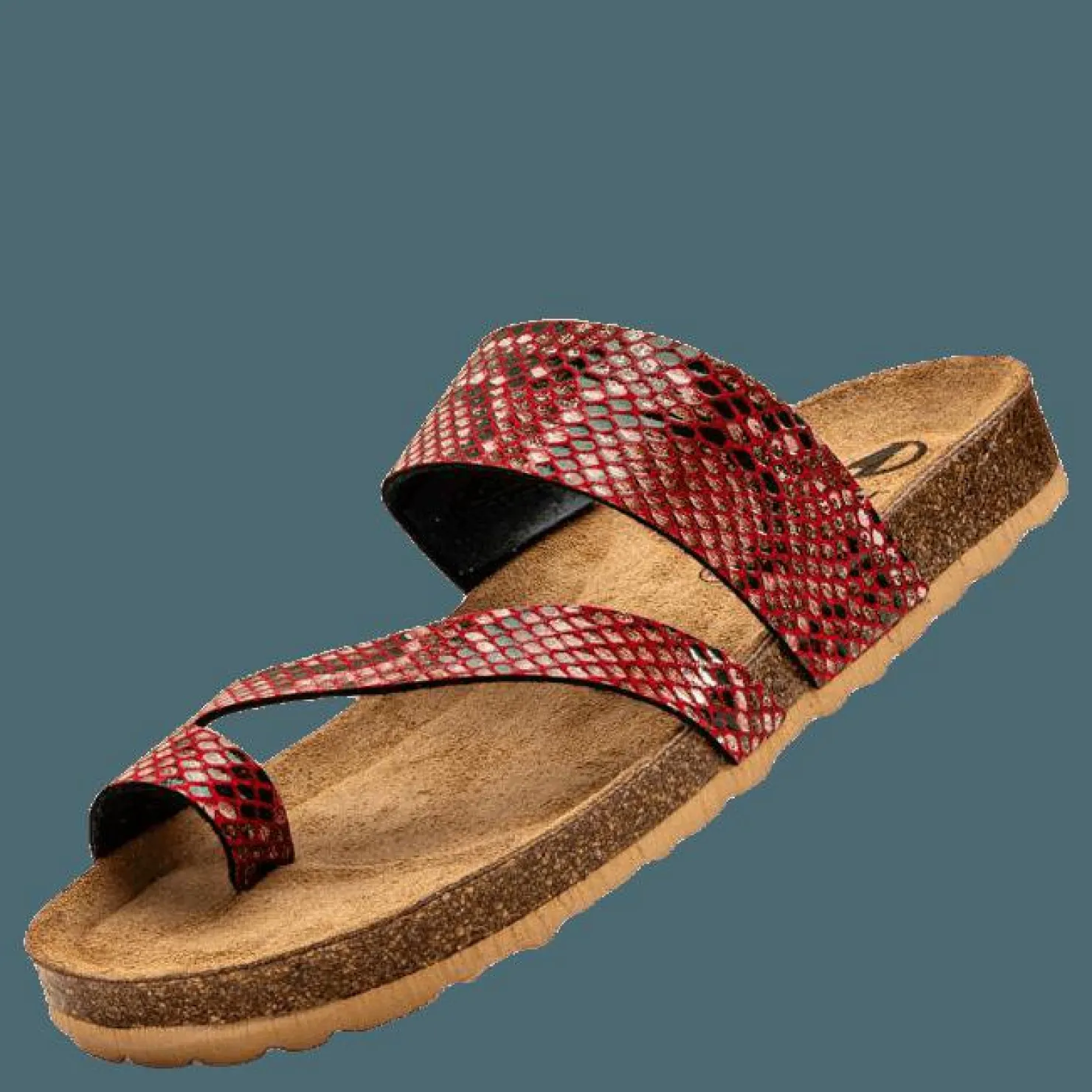 Axelda Adan Pink Rosa New