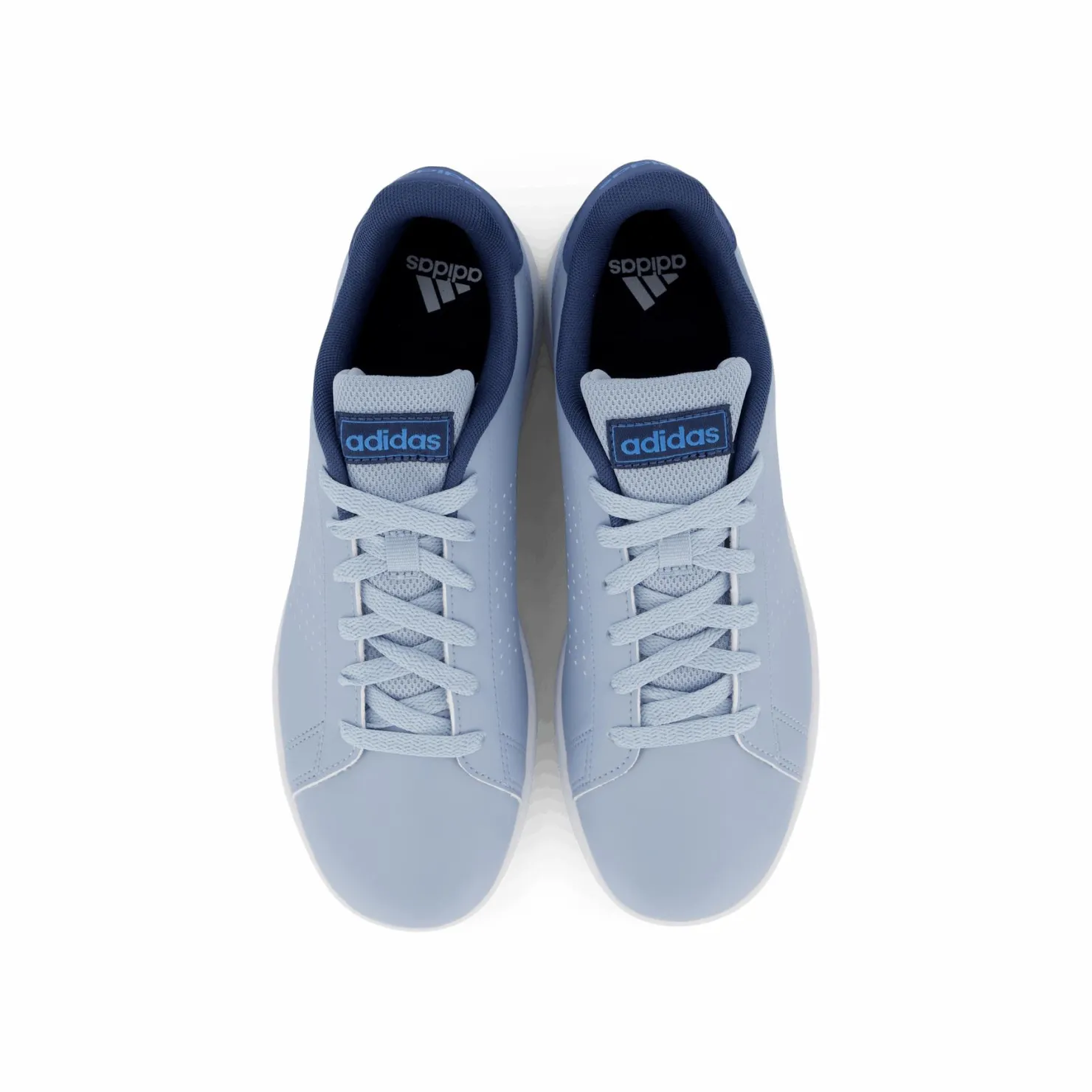 adidas Advantage Lifestyle Court Lace Shoes Wonblu / Blubrs / Prloin Blå Discount