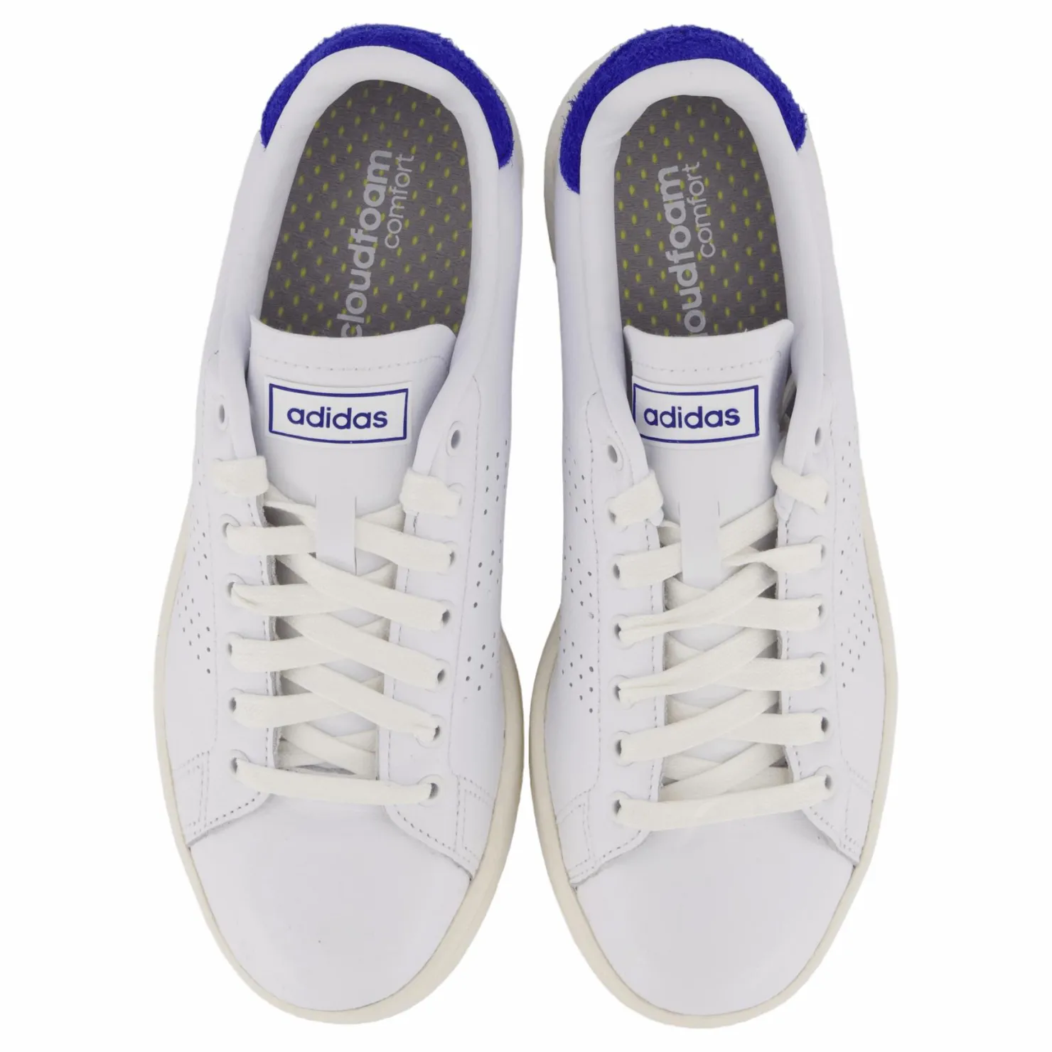 adidas Advantage Shoes Cloud White / Cloud White / Royal Blue Vit Online