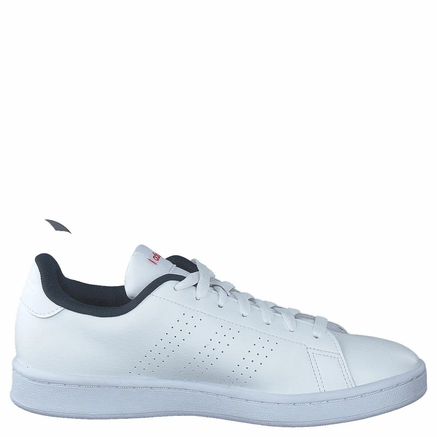 adidas Advantage Shoes Cloud White / Cloud White / Cloud White Vit Sale