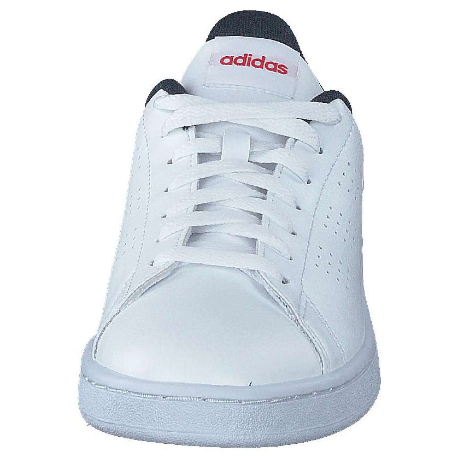 adidas Advantage Shoes Cloud White / Cloud White / Cloud White Vit Sale