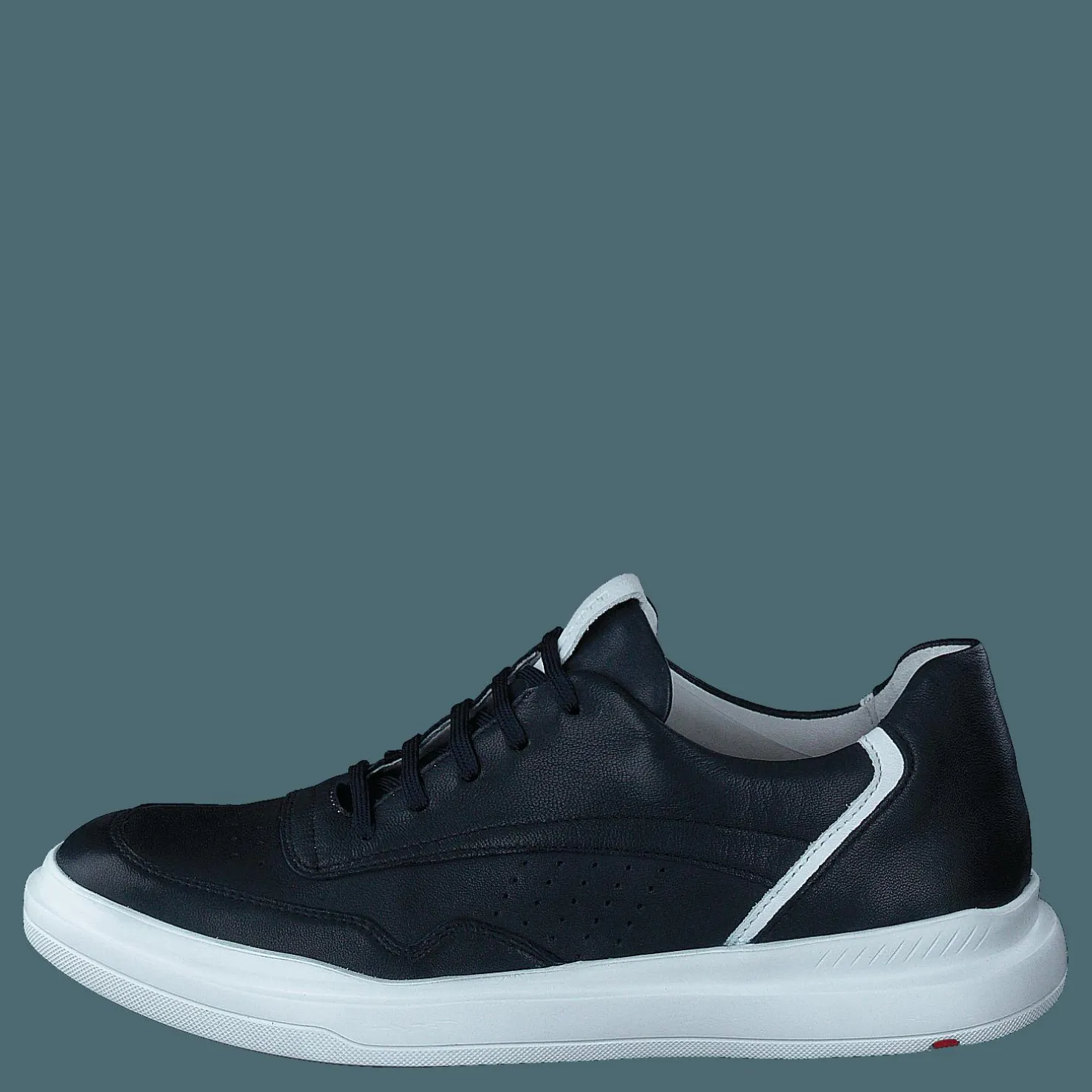 Lloyd Arrigo Midnight/white Blå New