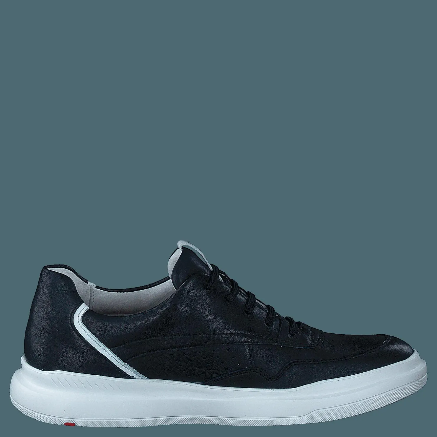 Lloyd Arrigo Midnight/white Blå New