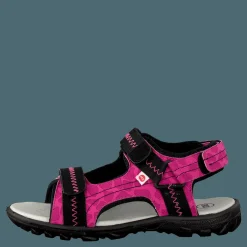Pax Beetle Lilac Rosa och Svart Hot