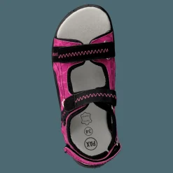 Pax Beetle Lilac Rosa och Svart Hot