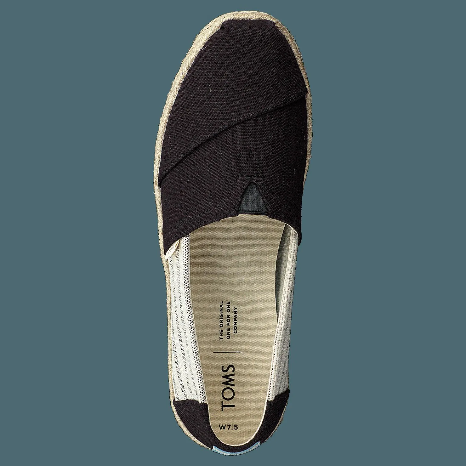 Toms Black Canvas Ivy League Black Beige Best