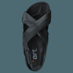 Art Burdeos Black Svart Best