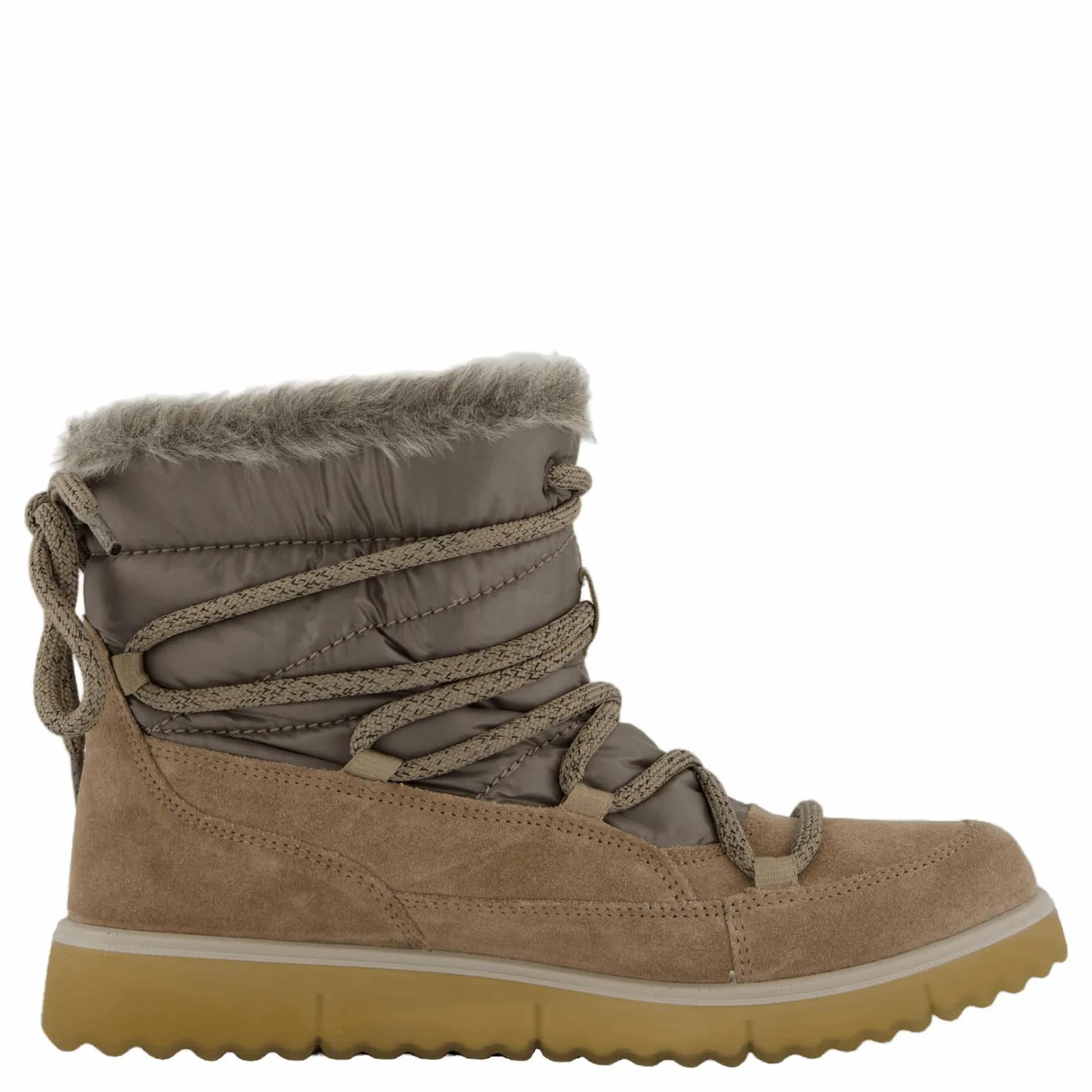 Legero Campania Giotto (beige) Brun Best