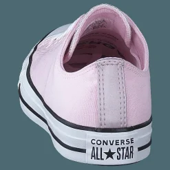 Converse Chuck Taylor All Star Ox Foam Pink Lila Outlet