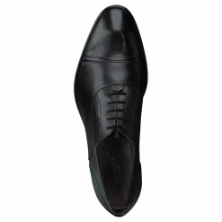 Ted Baker Circass Black Svart Best