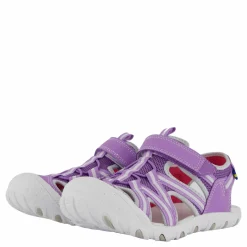Pax Cloudi Purple Lila Clearance
