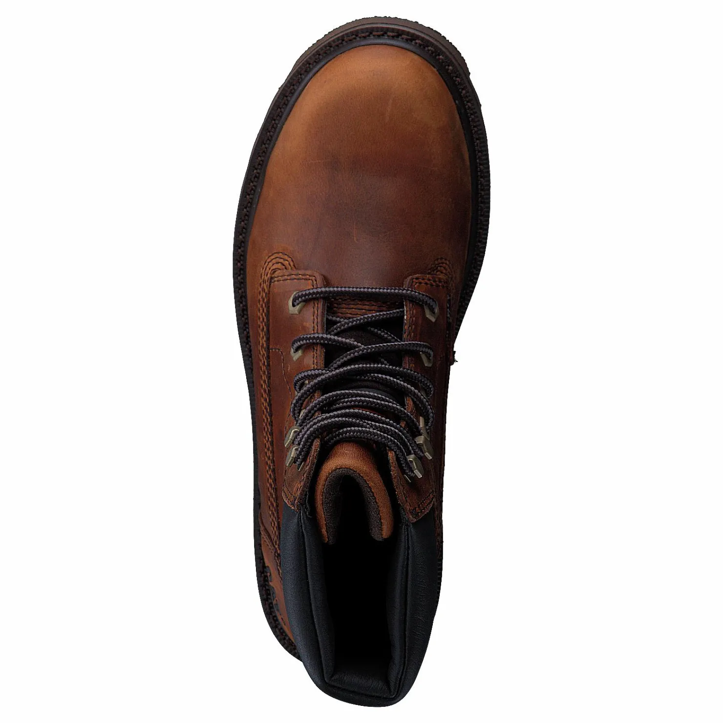 CAT DEPLETE WP BROWN Brun Discount