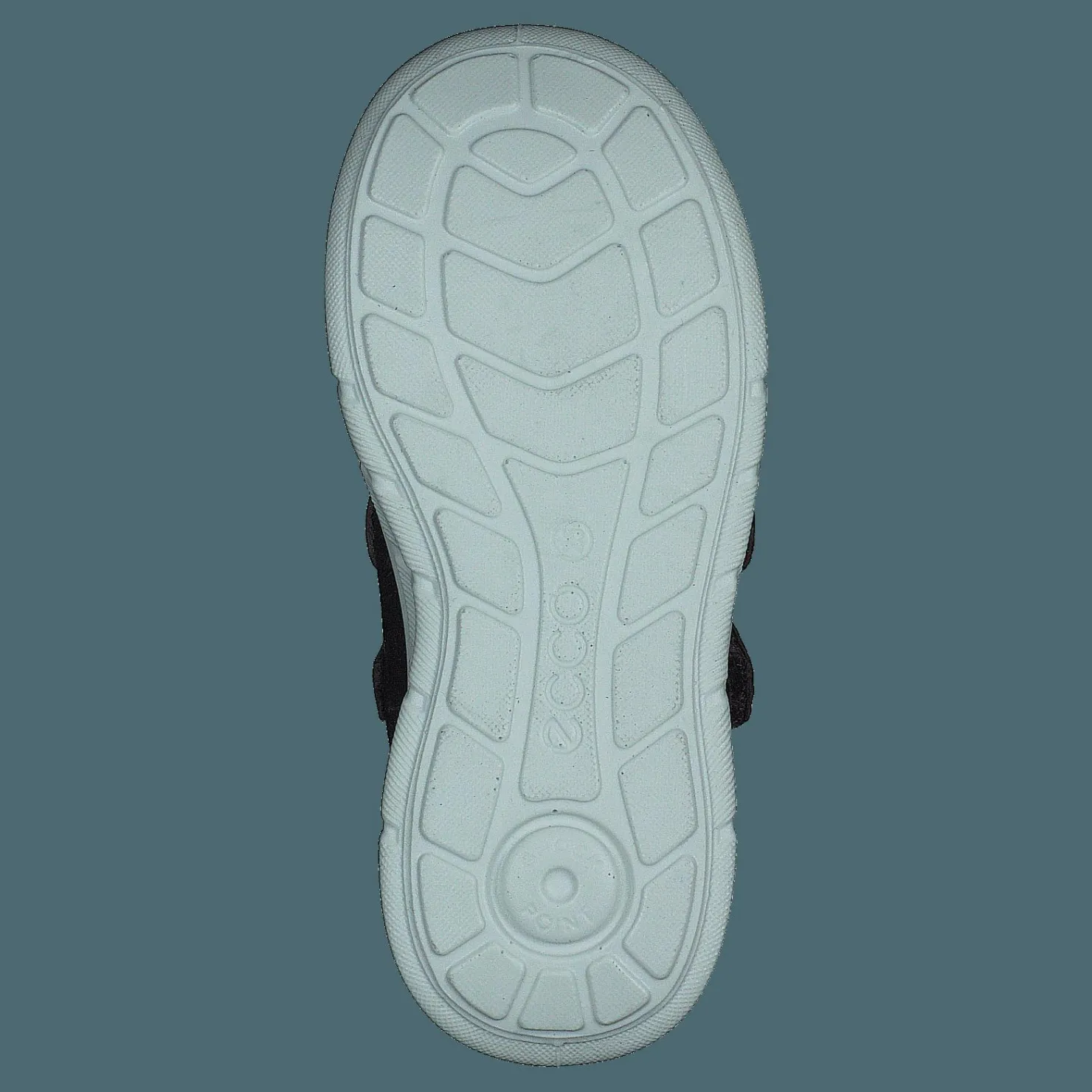 ECCO First Fig (Dark Purple) Svart