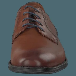 Lloyd Gala Cognac Brun