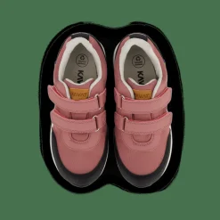 Kavat Halland WP Ash Rose Röd och Rosa Clearance