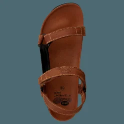 Scholl Heaven Brun New