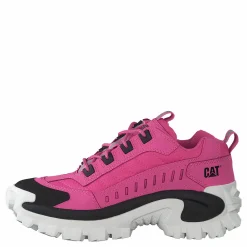 CAT Intruder Azelea Pink Rosa Outlet