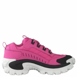 CAT Intruder Azelea Pink Rosa Outlet