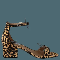 Steve Madden Irenee-l Leopard Brun Outlet