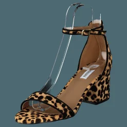 Steve Madden Irenee-l Leopard Brun Outlet