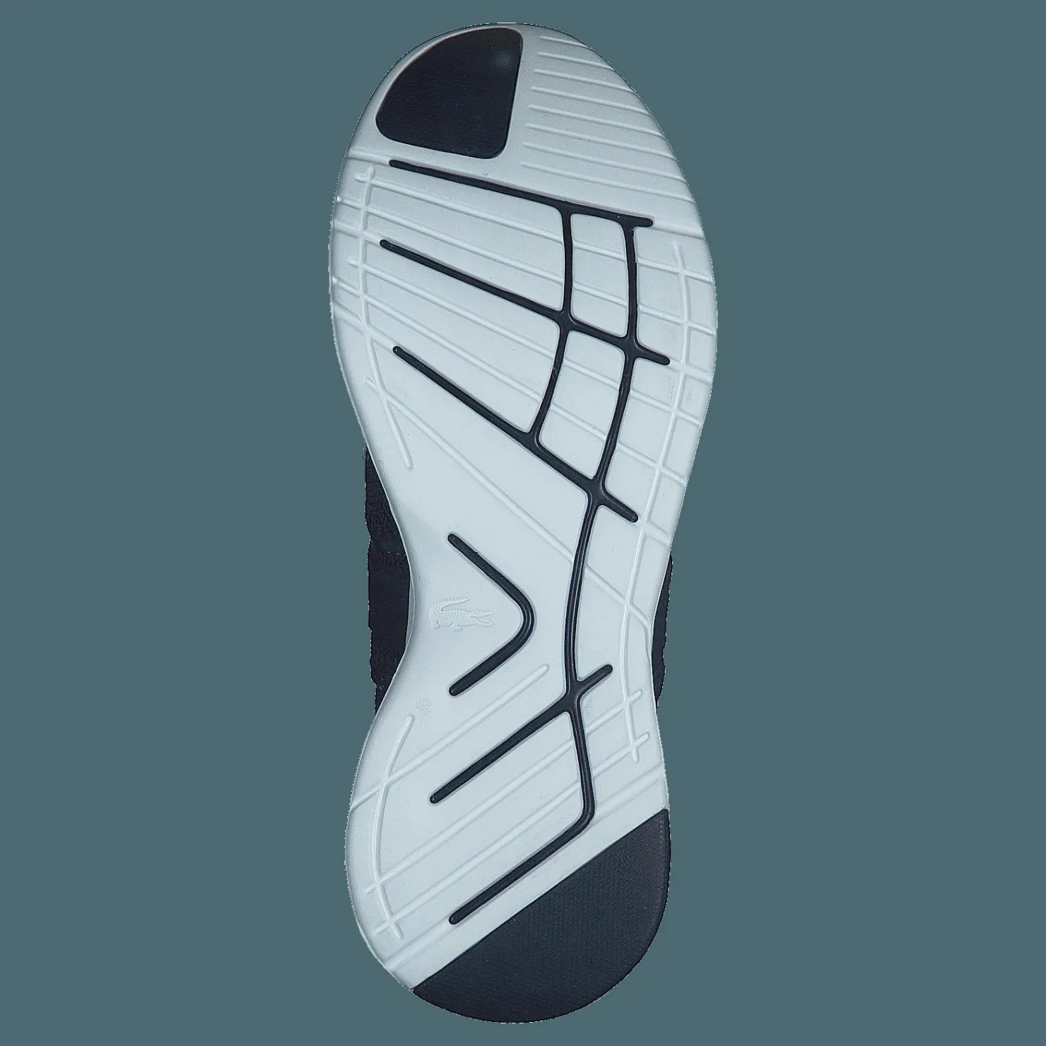 Lacoste Lt Sense 120 1 Sma Nvy/wht Blå Online