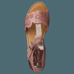 Wildflower Luciana Pink Brun och Rosa Best