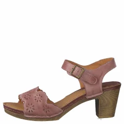 Wildflower Luciana Pink 16 Rosa Online