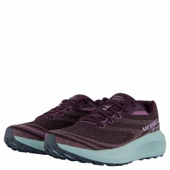 Merrell Morphlite Gtx Plum Flerfärgad Online