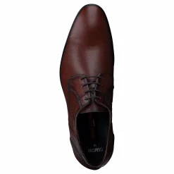 Lloyd Osmond Cognac Brun Best