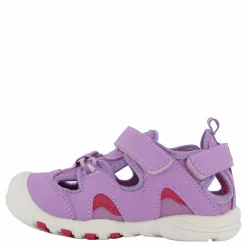 Pax Pepper Purple Lila