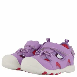 Pax Pepper Purple Lila