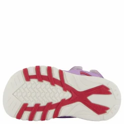Pax Pepper Purple Lila