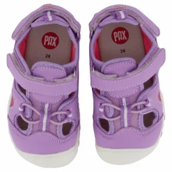 Pax Pepper Purple Lila