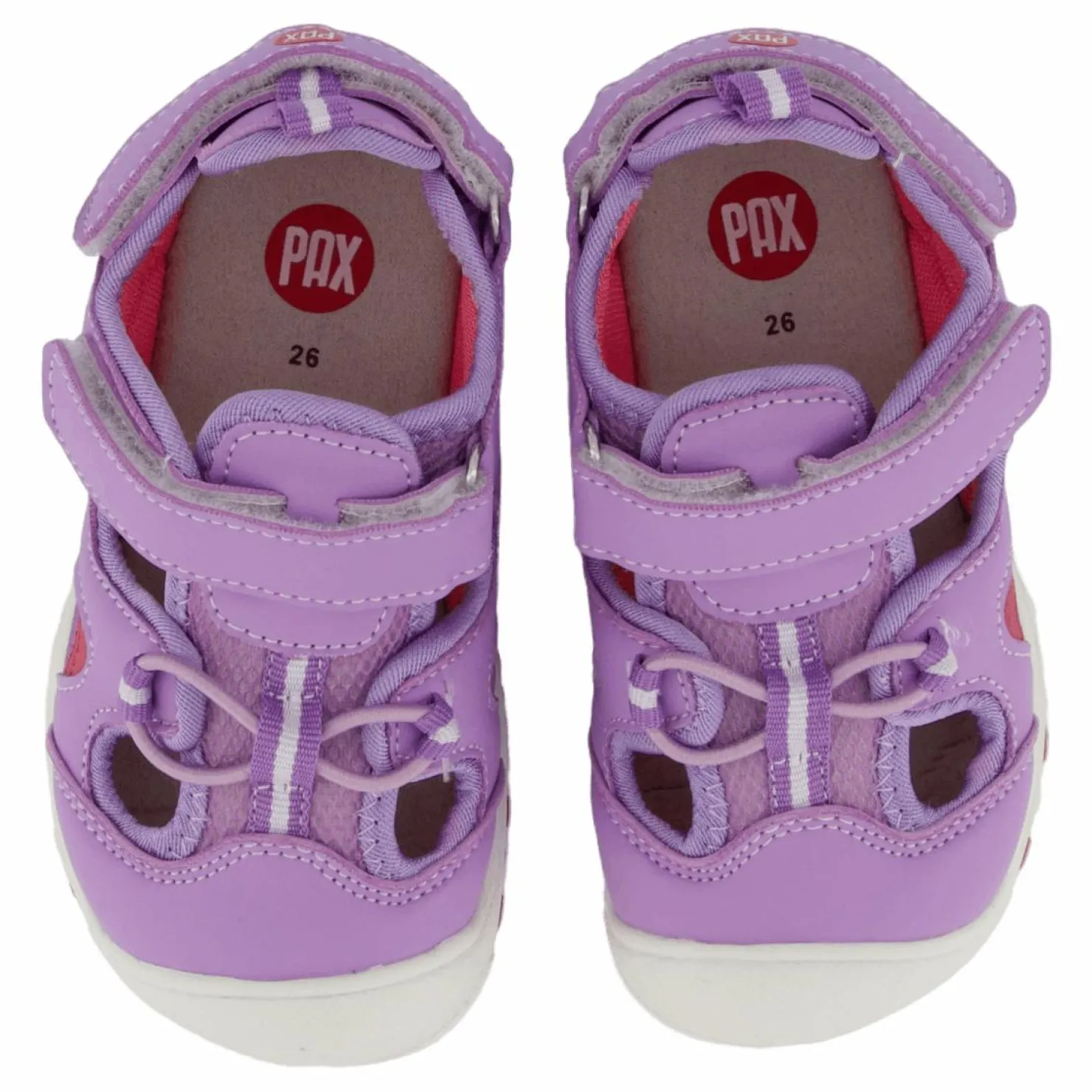 Pax Pepper Purple Lila