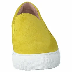 Dasia Starlily Yellow Gul New