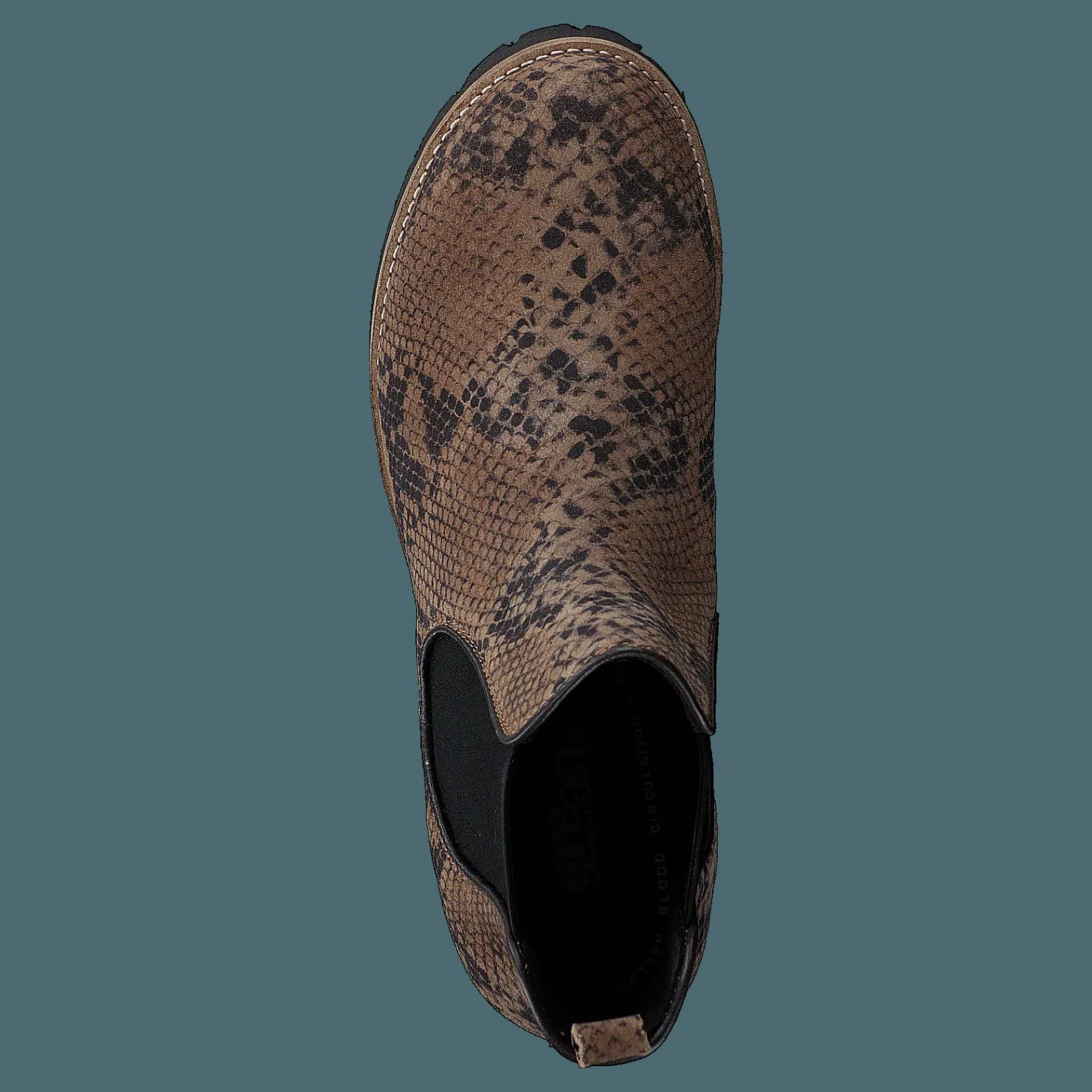 Green Comfort Strike Taupe (snake) Brun Discount