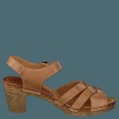 Wildflower Templer Brown/tan Brun Sale