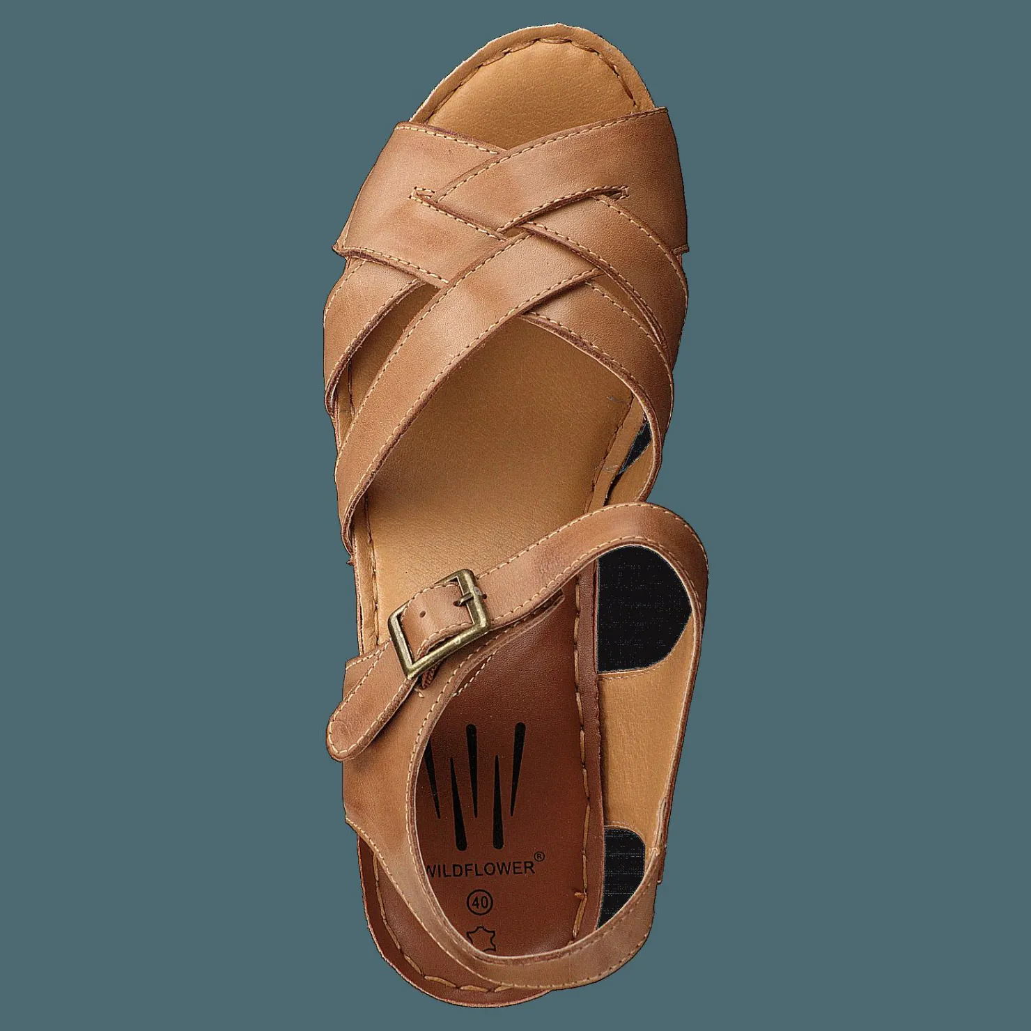 Wildflower Templer Brown/tan Brun Sale