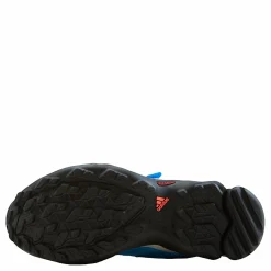 adidas Terrex AX2R CF Hiking Shoes Blue Rush / Sky Rush / Turbo Blå Sale