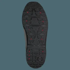 DC Shoes Torstein Timber Brun New