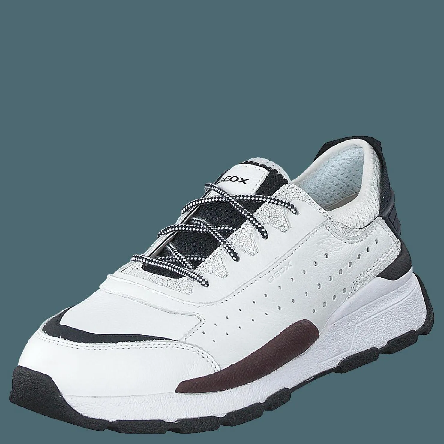Geox U Regale White Vit Discount