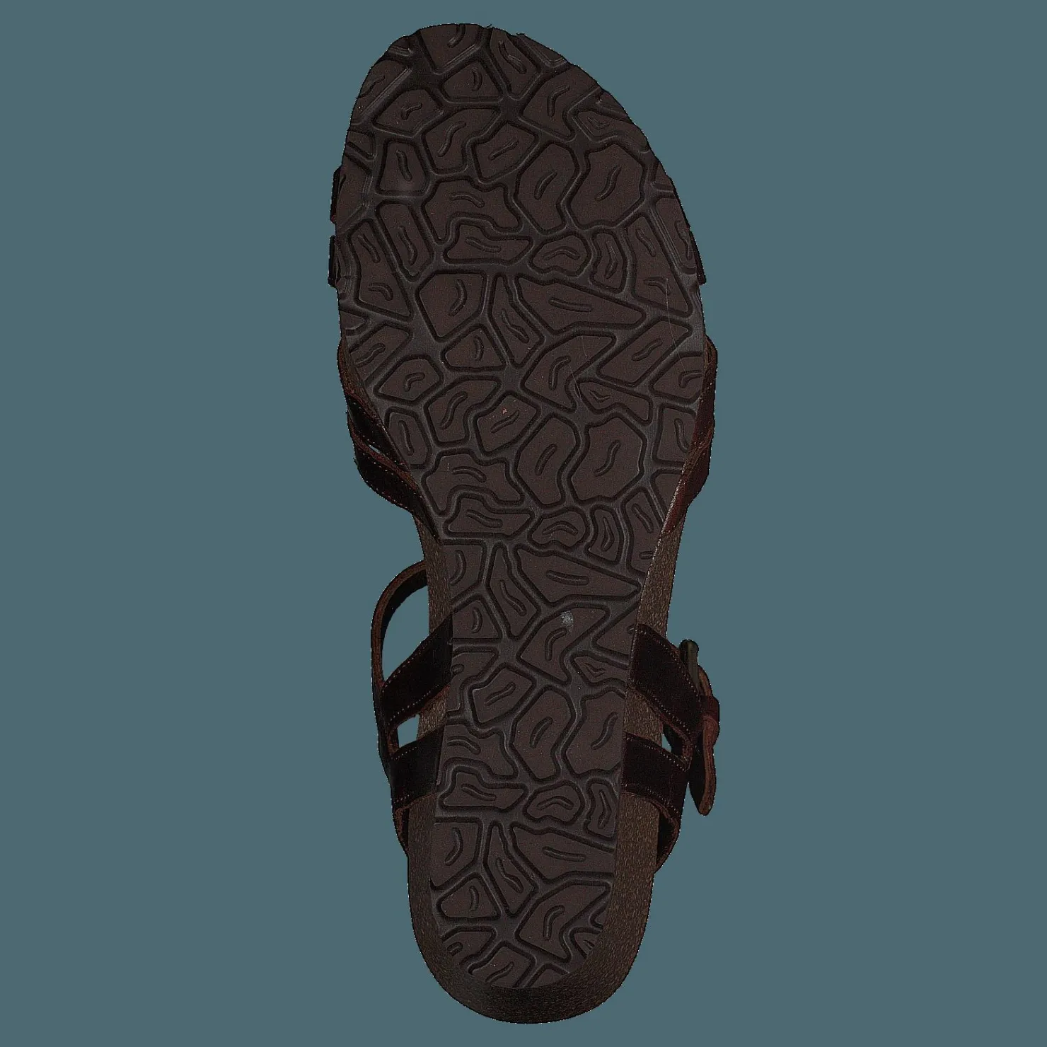Panama Jack Vera Clay Pull Up Cuero/bark Brun Online
