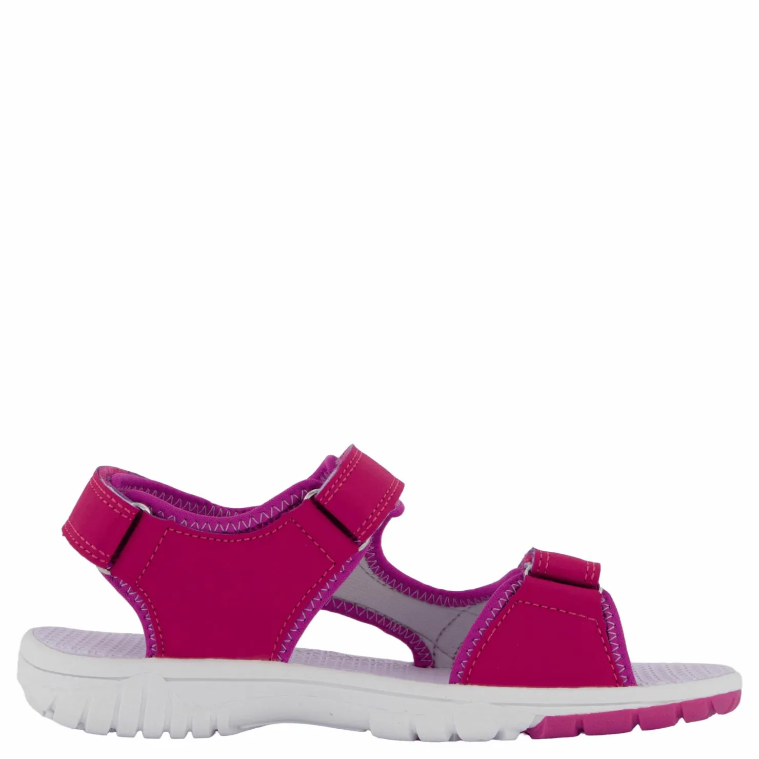 Pax Went Purple Orchid Rosa Hot