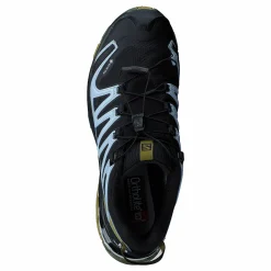 Salomon Xa Pro 3d V8 Gtx W Black/green Moss/zen Blue Svart Sale