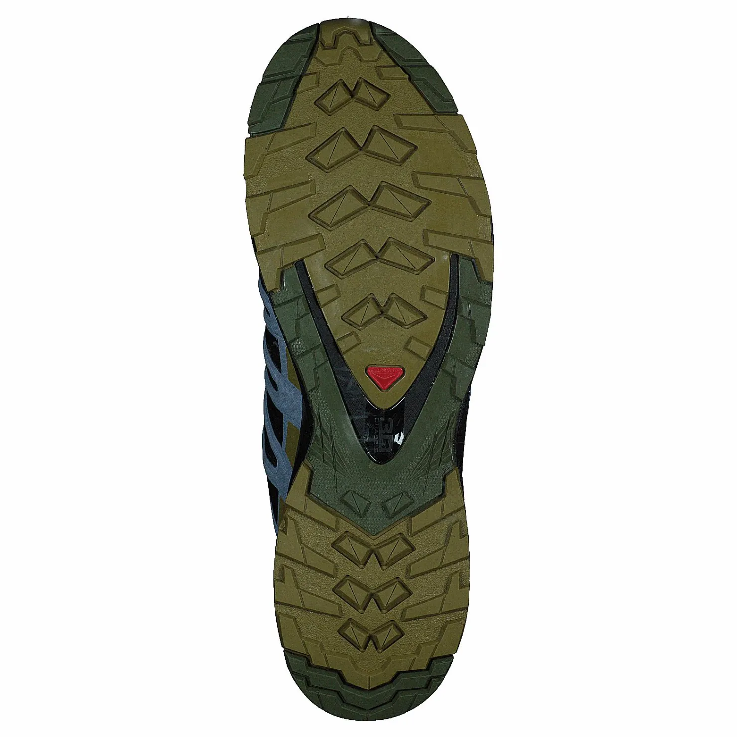 Salomon Xa Pro 3d V8 Gtx W Black/green Moss/zen Blue Svart Sale
